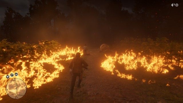Follow Sean to the horses