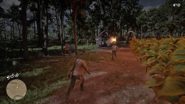 Follow Sean to the horses