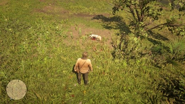 Find the trail / Follow the trail