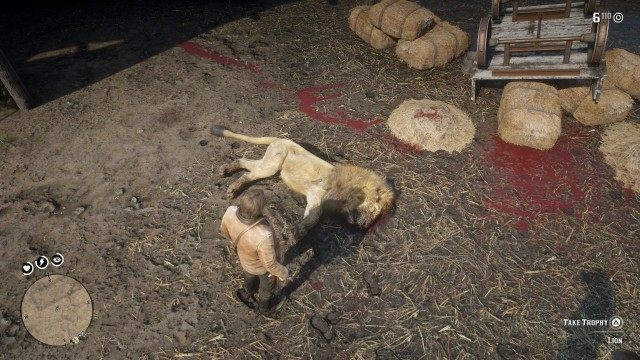 Kill the lion