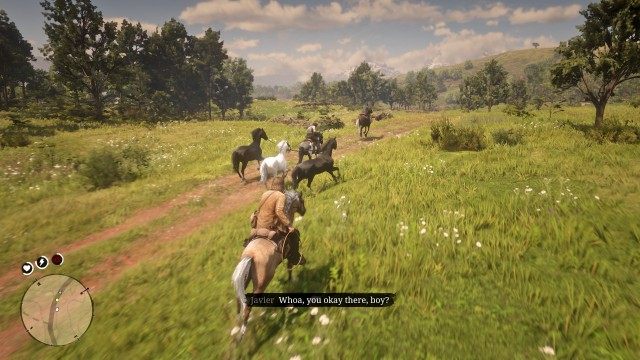 Lasso the stallion / Meet the gang at Clemens Cove