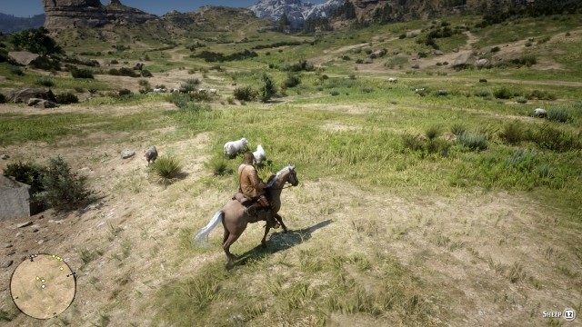 Mount your horse / Ride to the herd / Return the separated sheep to the herd