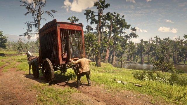 Shut the cougar in the wagon