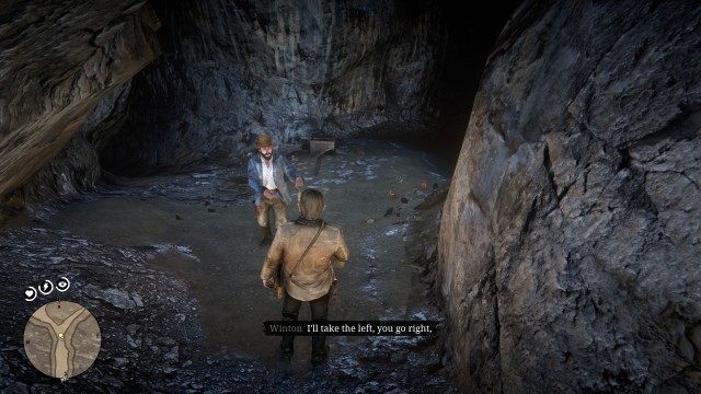 Search the cave for the white cougar