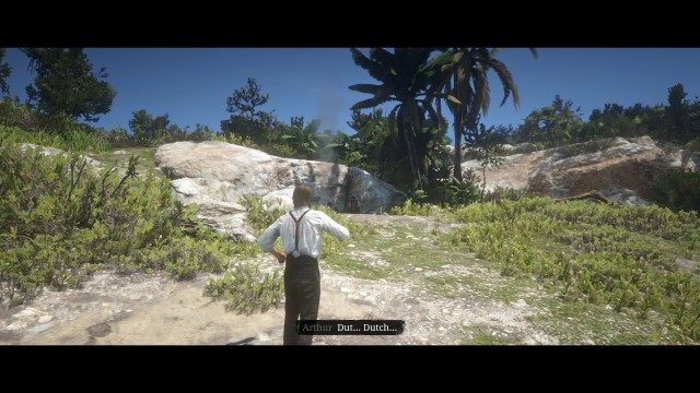 Search the coast for any survivors