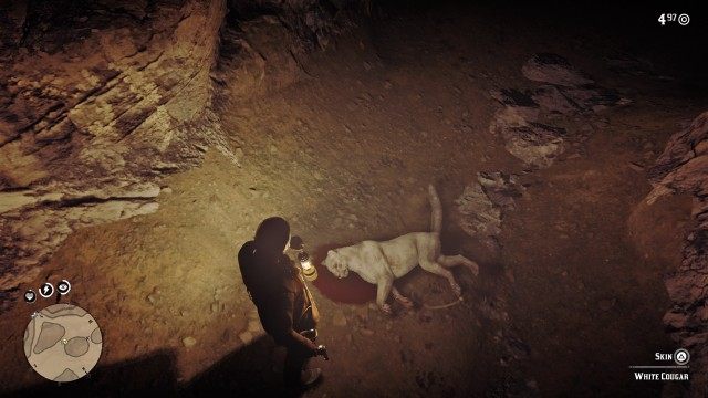 Find and kill the white cougar / skin the white cougar