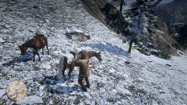 Stow the white cougar pelt on your horse / Sell the white cougar pelt at the butcher's stall