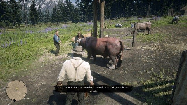 Investigate the commotion at the corral / Calm the bull / Catch the bull