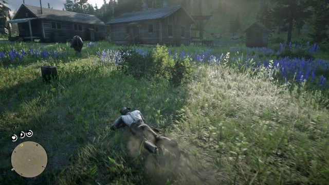 Investigate the commotion at the corral / Calm the bull / Catch the bull