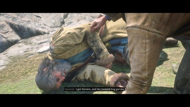 Investigate the gunshots / Check on Hamish / Kill the boar