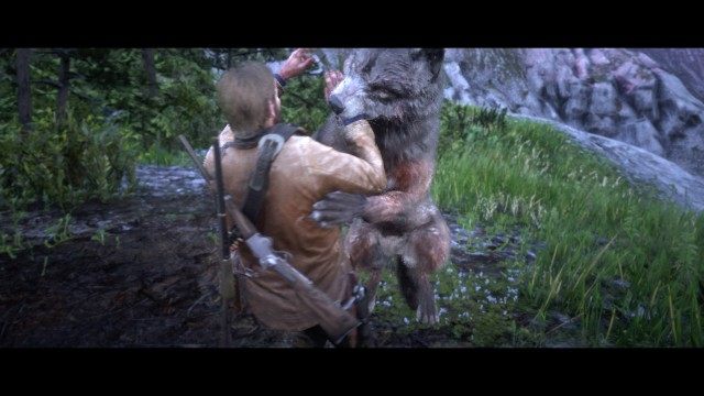Get closer to the wolf / Fight the wolves