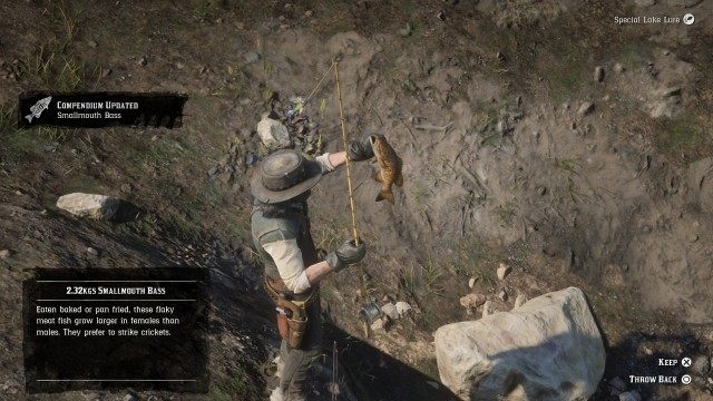 Fish with Jack