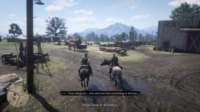 Follow Sadie to Strawberry