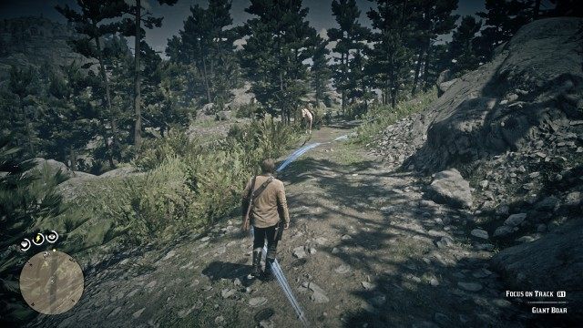 Kill the boar / Search the area for signs of the boar /  Follow the boar tracks