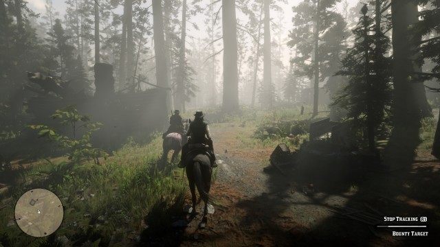Find the tracks / Follow the tracks