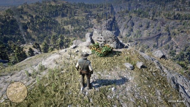 Arthur Morgan