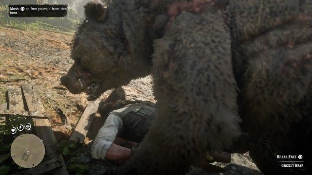Kill the bear