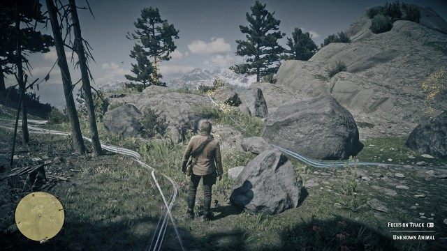 Search the area for clues / Investigate the clue near Rains Fall