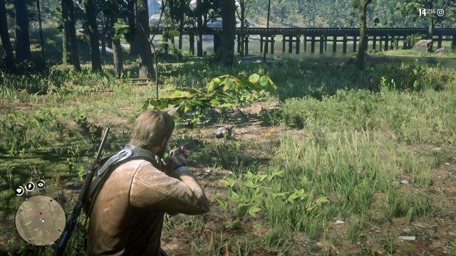 Search the area for the animal / Shoot the rabbit / Wait for the widow to skin the rabbit