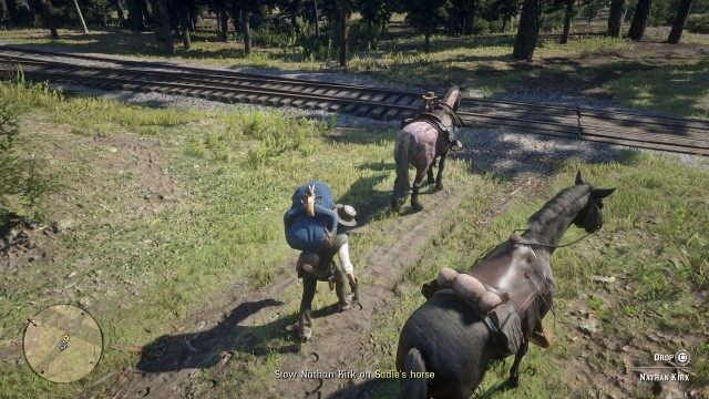Pick up Nathan Kirk / Stow Nathan Kirk on Sadie's horse