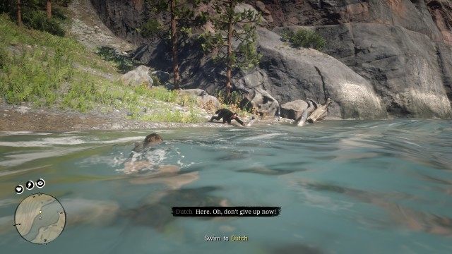 Follow Dutch / Swim to Dutch