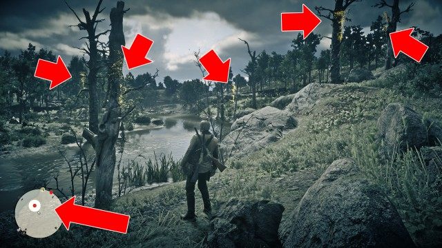 Destroy the cursed charms near Butcher Creek (Part III)