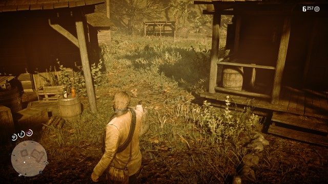 Shoot three bottles / Shoot the rat / Wait for the widow to shoot