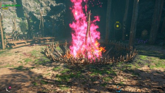 Burning Souls