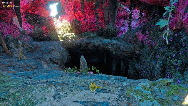 ENTER the cave