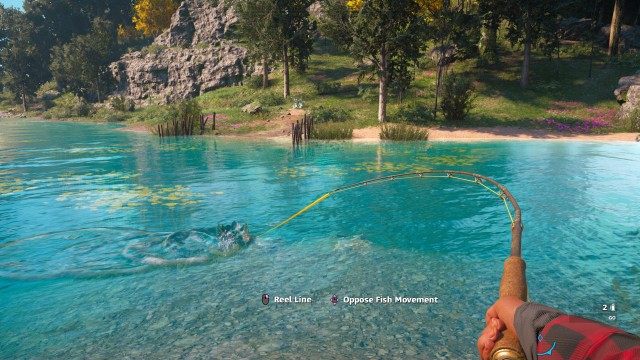 Fish Habitats