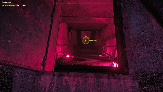 INVESTIGATE the bunker
