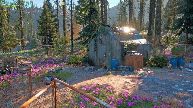 INVESTIGATE the Shed