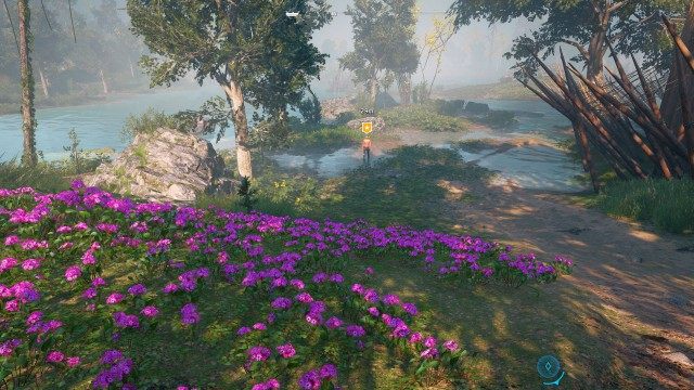 REACH the New Eden compound