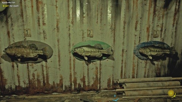 Riddle Me Fish