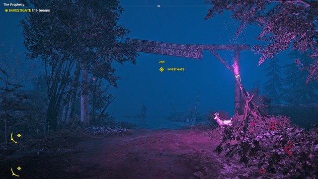 INVESTIGATE the beams