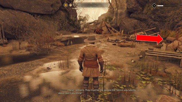 Lead the search in the swamps