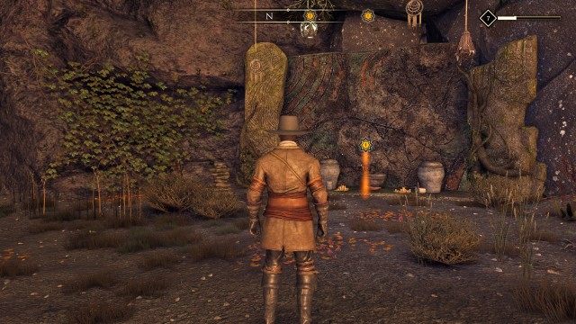Lead the search in the swamps