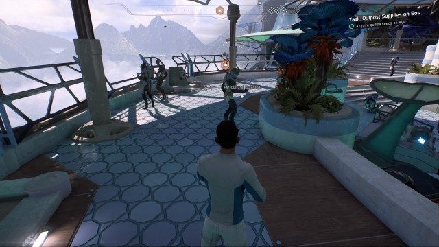 Acquire quilloa seeds on Aya