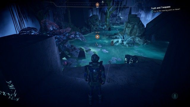 Go to the meeting point on Havarl