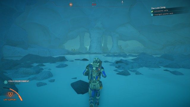Investigate poacher cave
