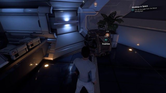 Pick up the pyjak from the Nexus docking bays