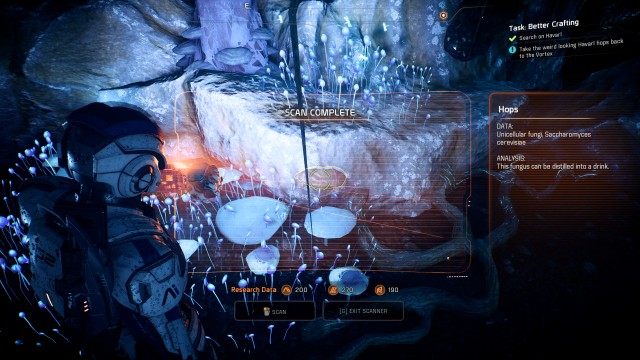 Search on Havarl
