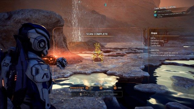Search on Kadara