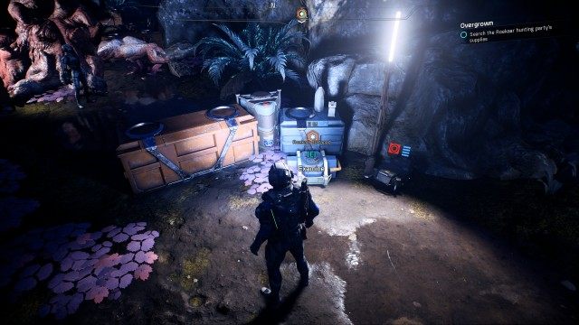 Search the Roekaar hunting party's supplies