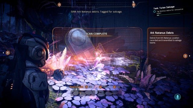 Tag Natanus debris for removal on Havarl