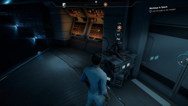 Visit the pyjak on the Tempest