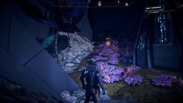 Collect plant samples (x10)