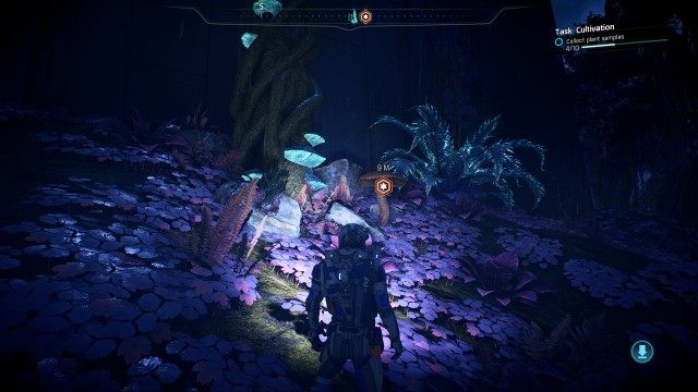 Collect plant samples (x10)