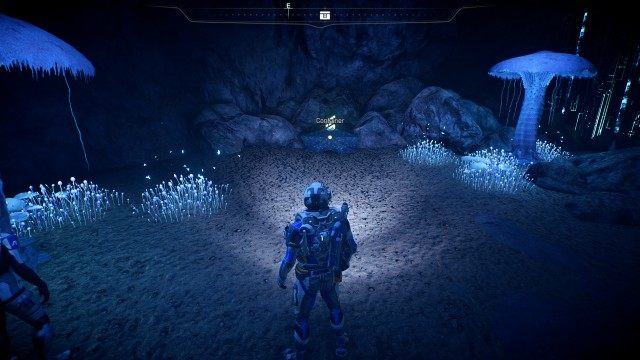 Hidden Cache