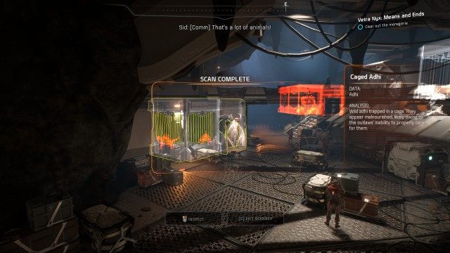 Use the menagerie's security cam